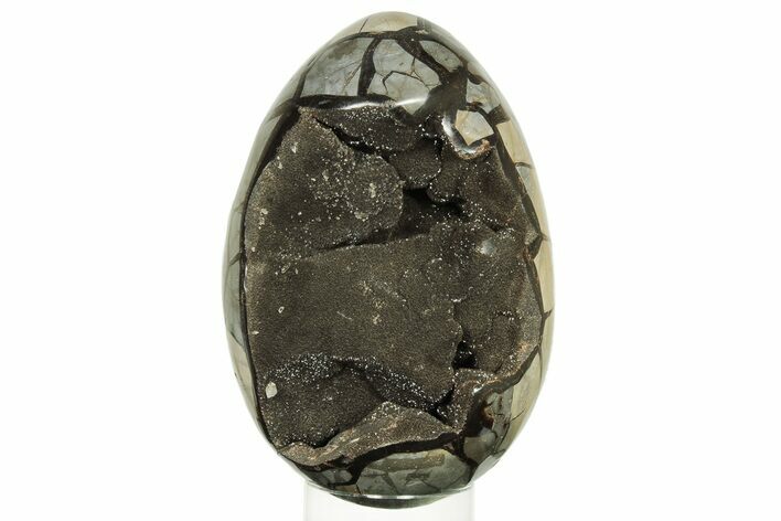 Septarian Dragon Egg Geode - Black Crystals #274890